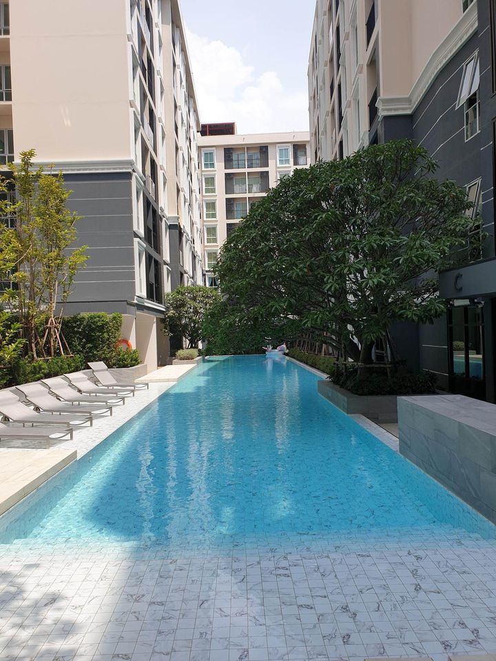 หลักสี่ 💥 Plum Condo Chaengwattana Station Phase 3🔴🟢🟡 ว่างต้น มี.ค 68